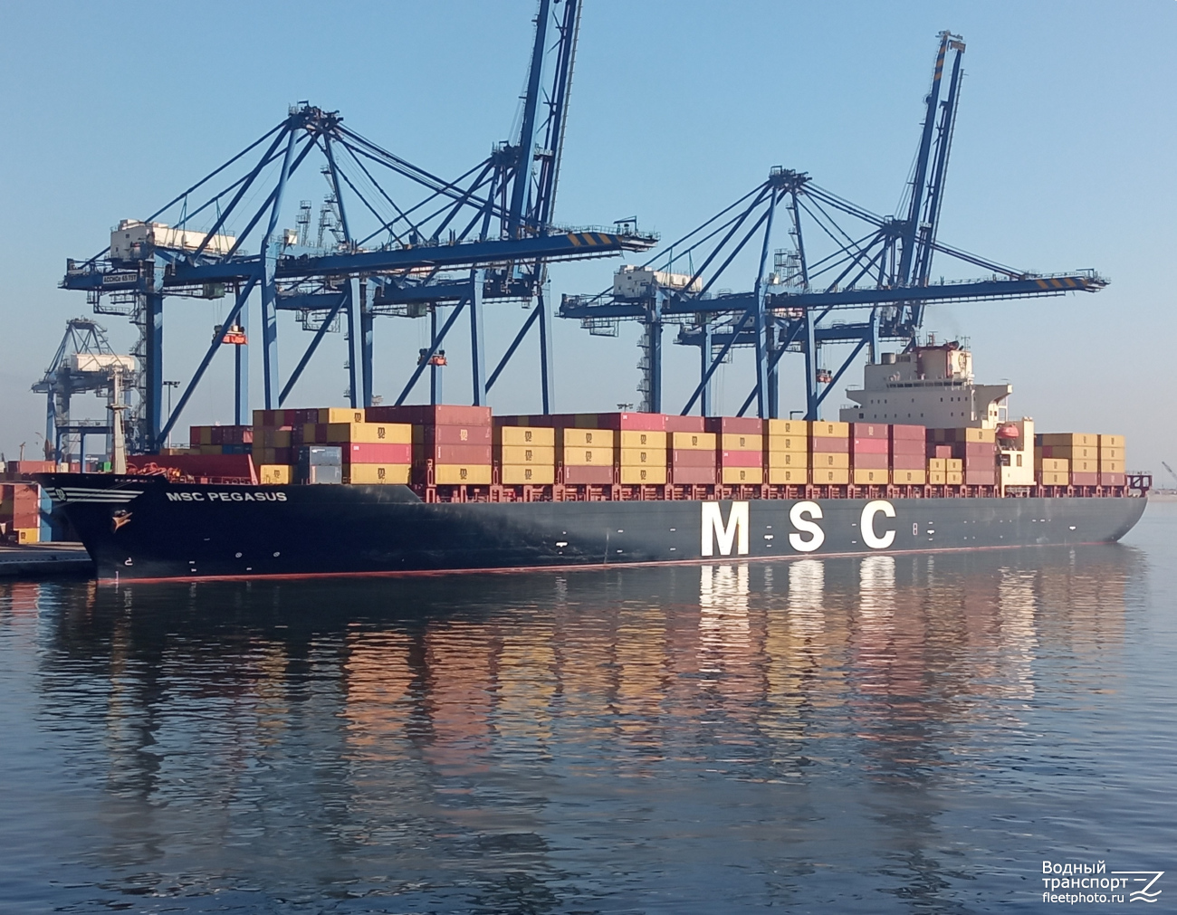 MSC Pegasus