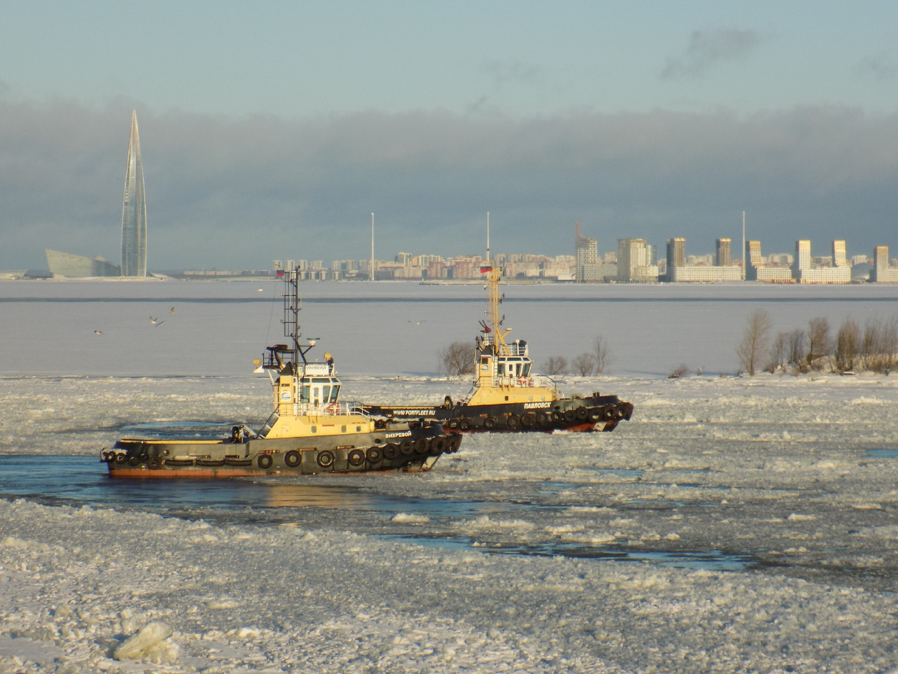 Вихревой, Павловск