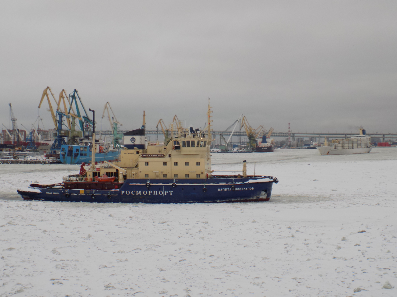 Капитан Косолапов, Академик Александр Карпинский, WL Pacific, Beluga Reefer