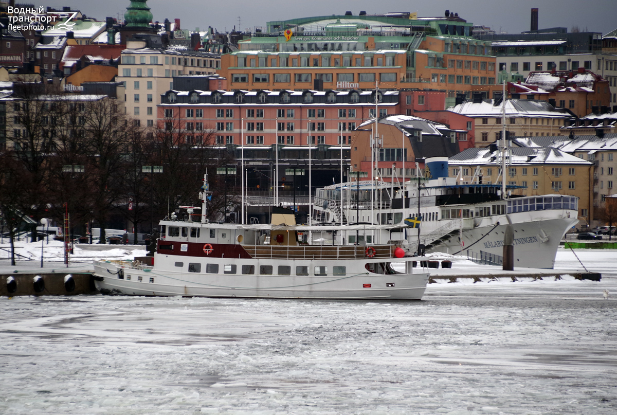 Rex af Stockholm