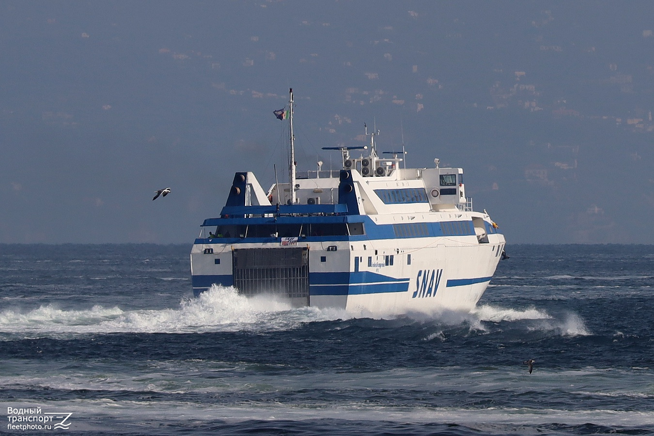 Isola di Capraia