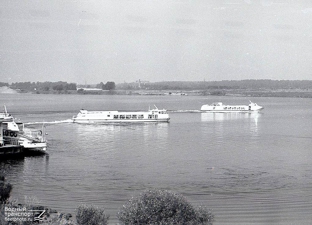 Заря-231Р, Полесье-1