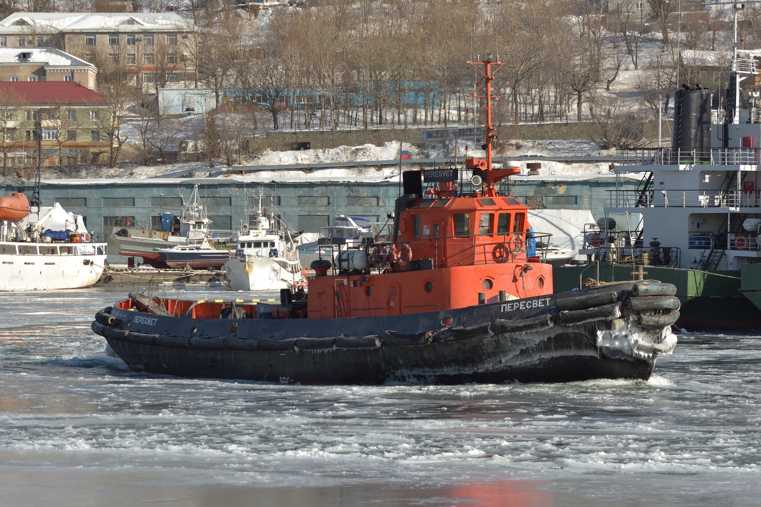 Плейона, Пересвет, Афина, Денис Ветчинов