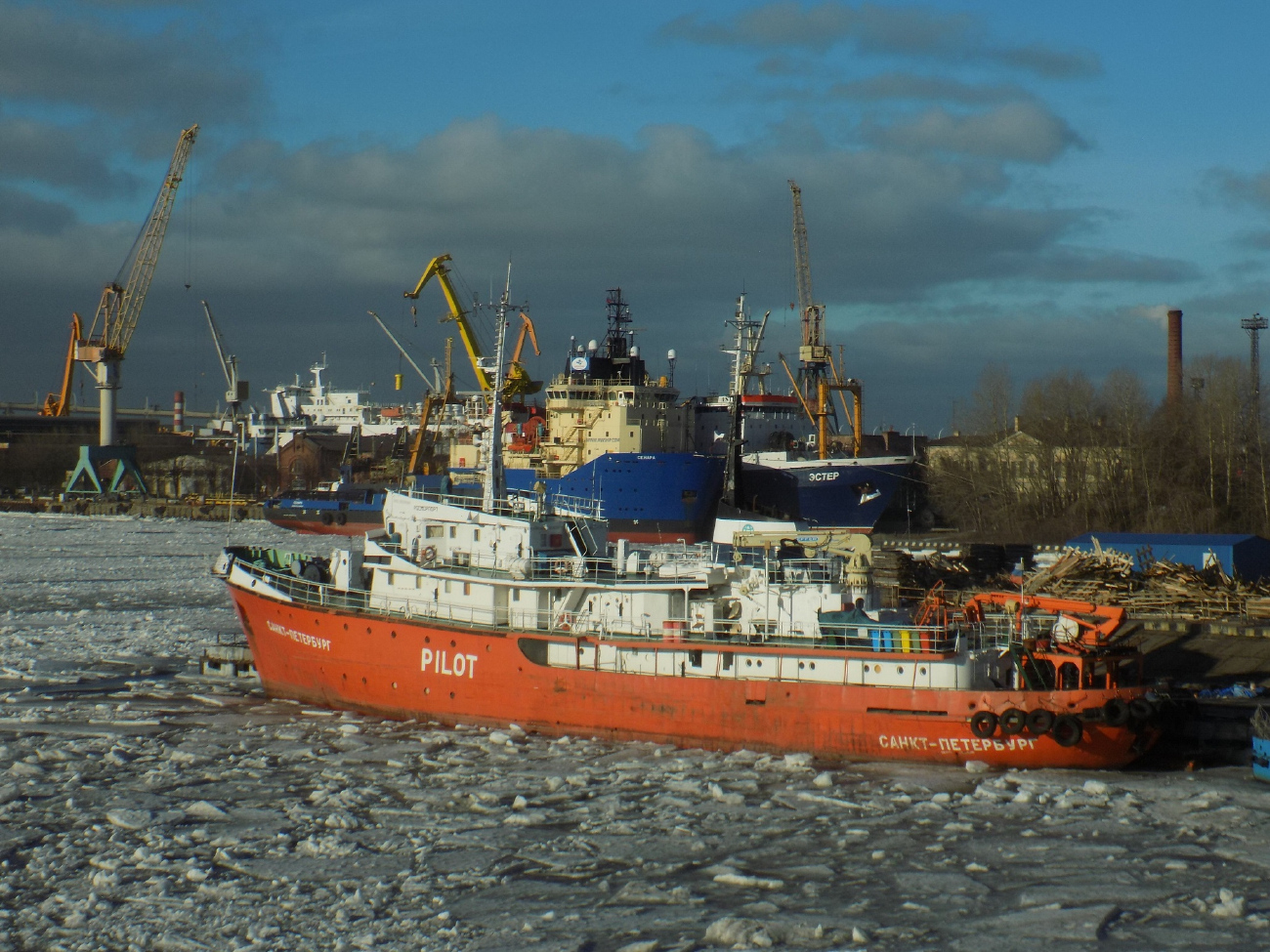 Санкт-Петербург, Сенара, Эстер