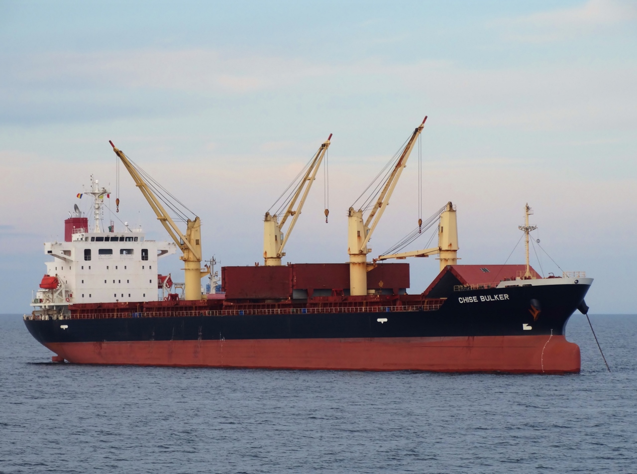 Chise Bulker