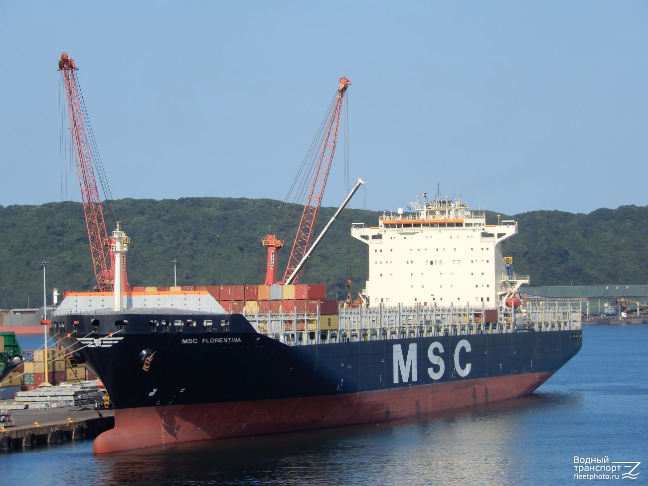 MSC Florentina