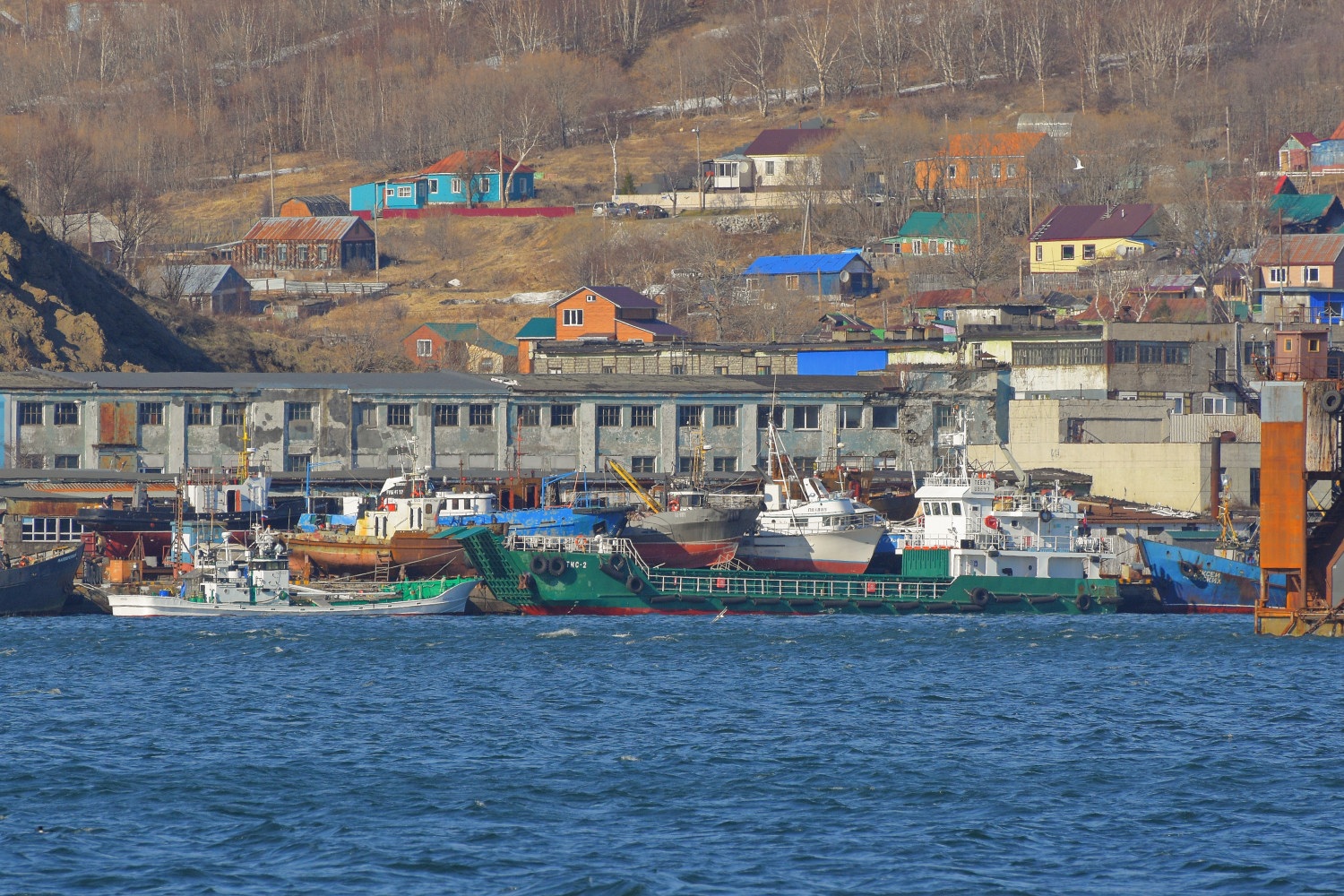 Тис-2. Дальневосточный бассейн