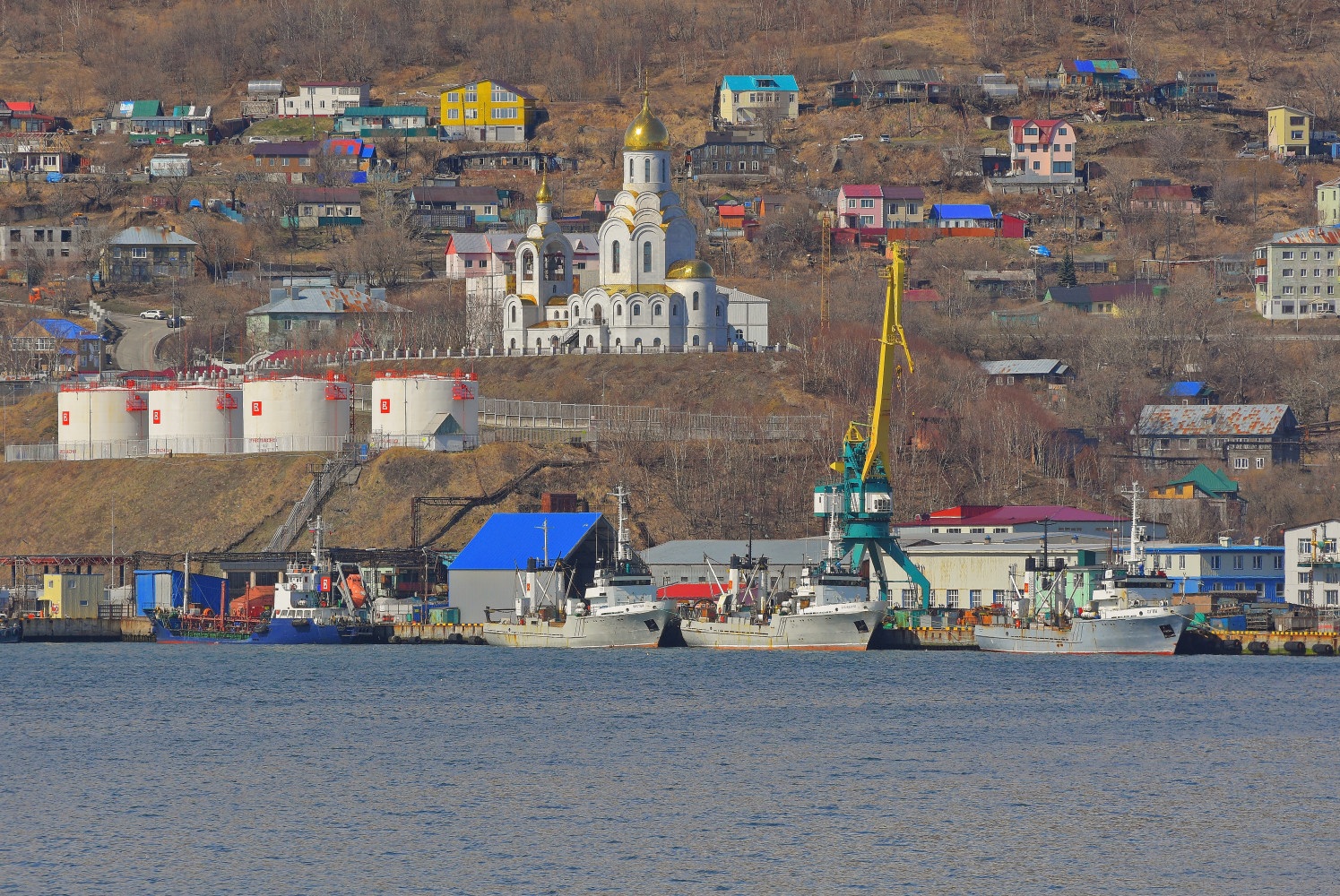 Брамс, Казакевичи, Огни, Чистый. Петропавловск-Камчатский