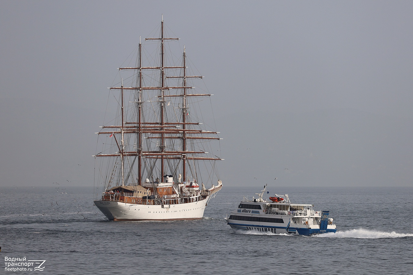 Sea Cloud, Celestina