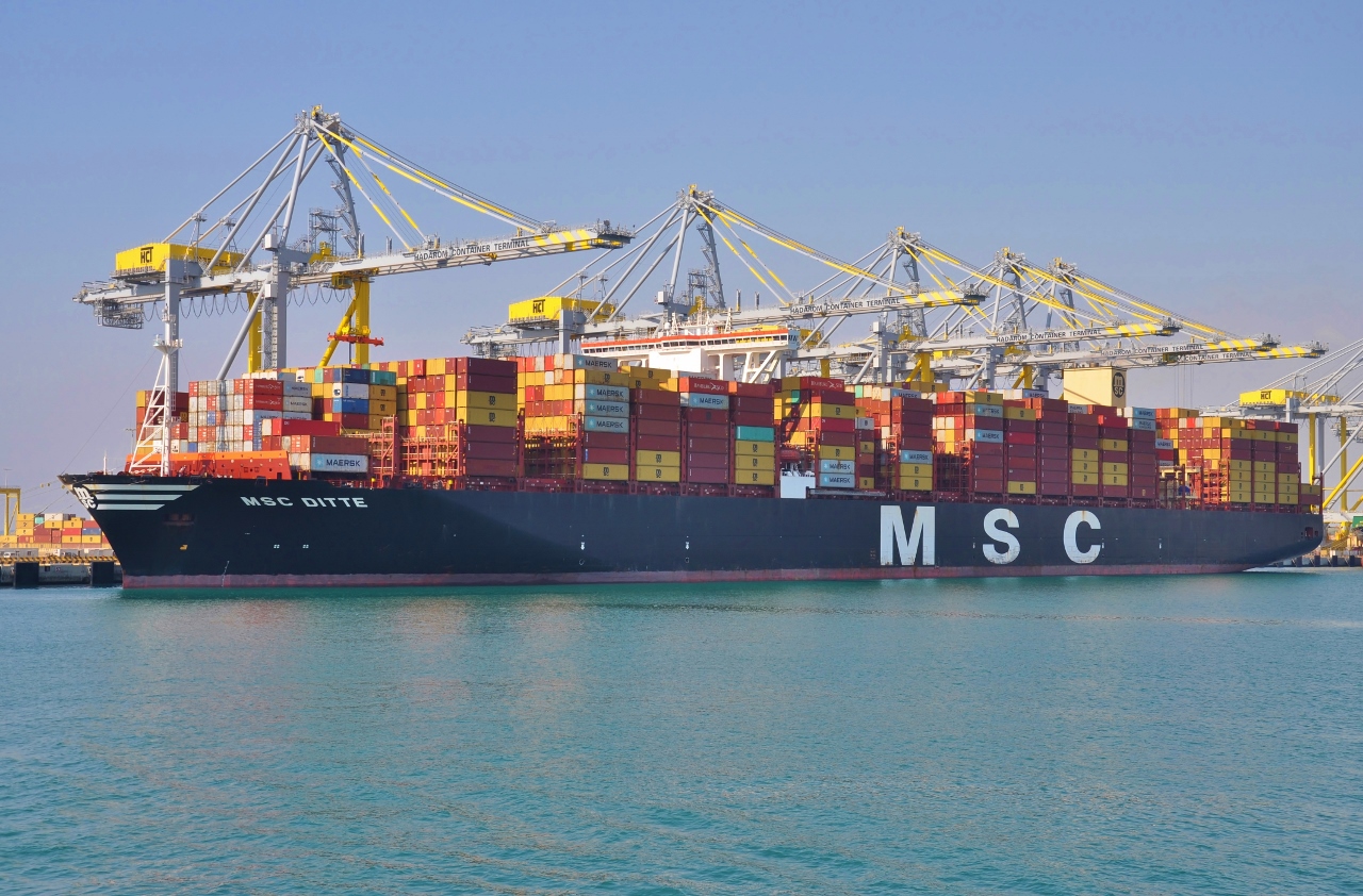 MSC Ditte