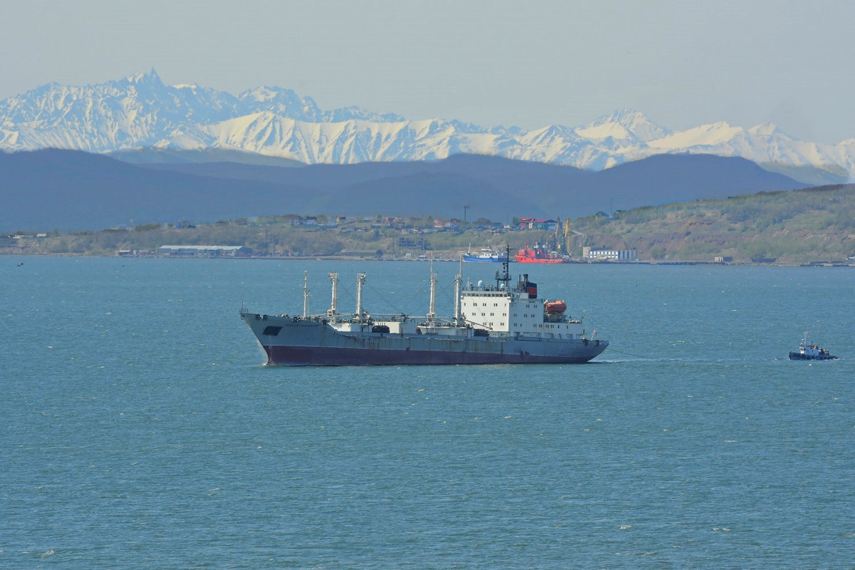 Геннадий Водолазский, Таурус, Капитан Мартышкин, КЖ-65