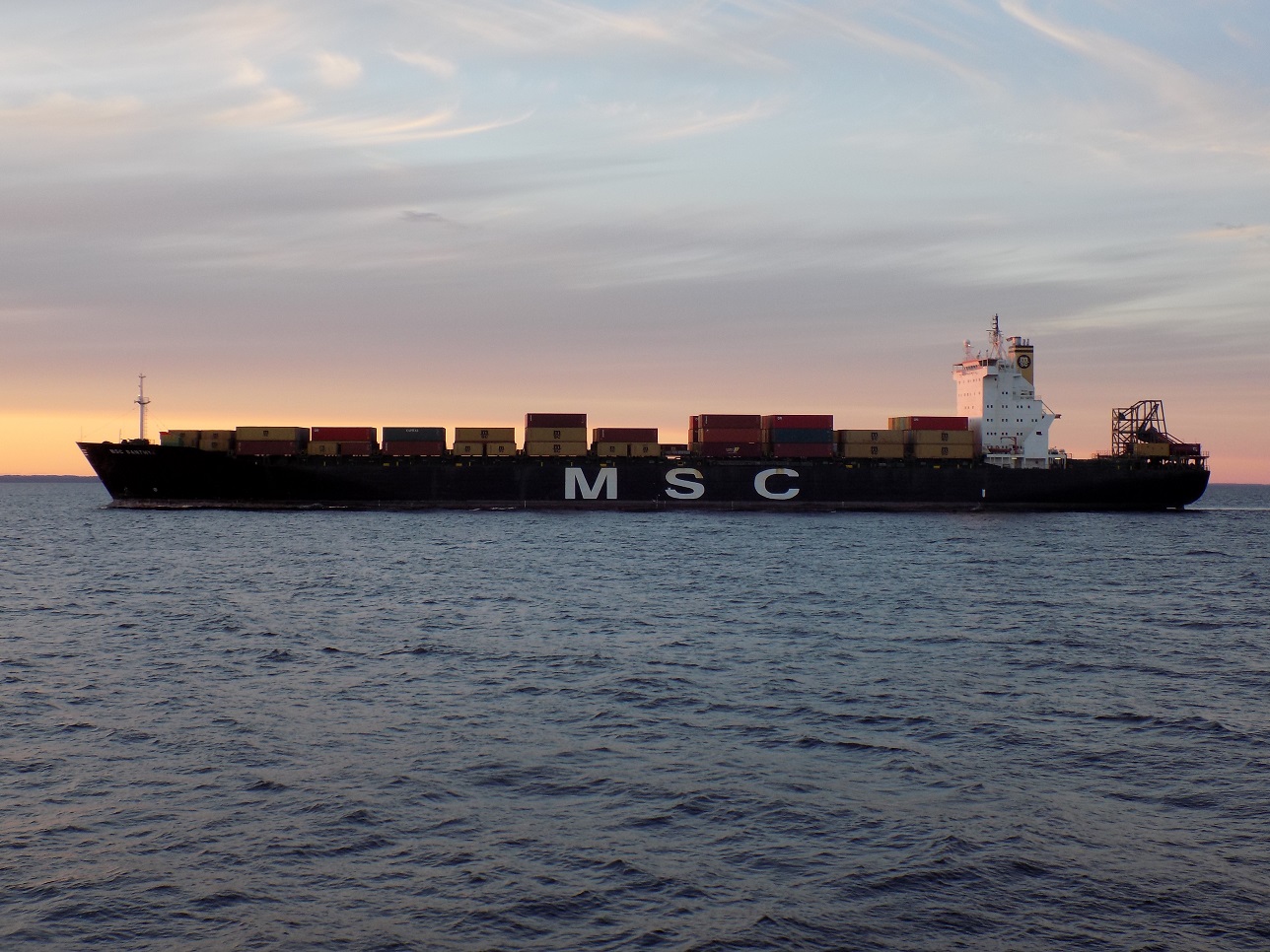 MSC Santhya