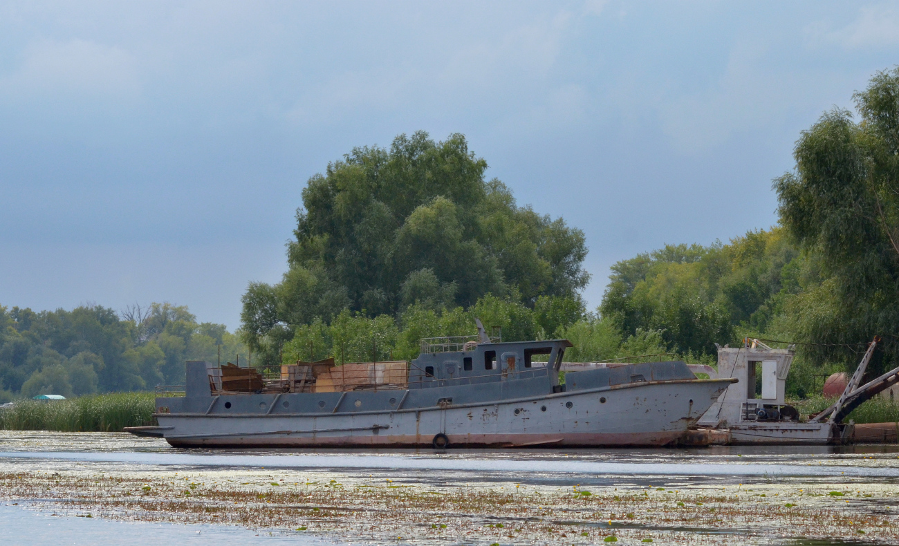 Ихтиандр. Russia - Volga Basin