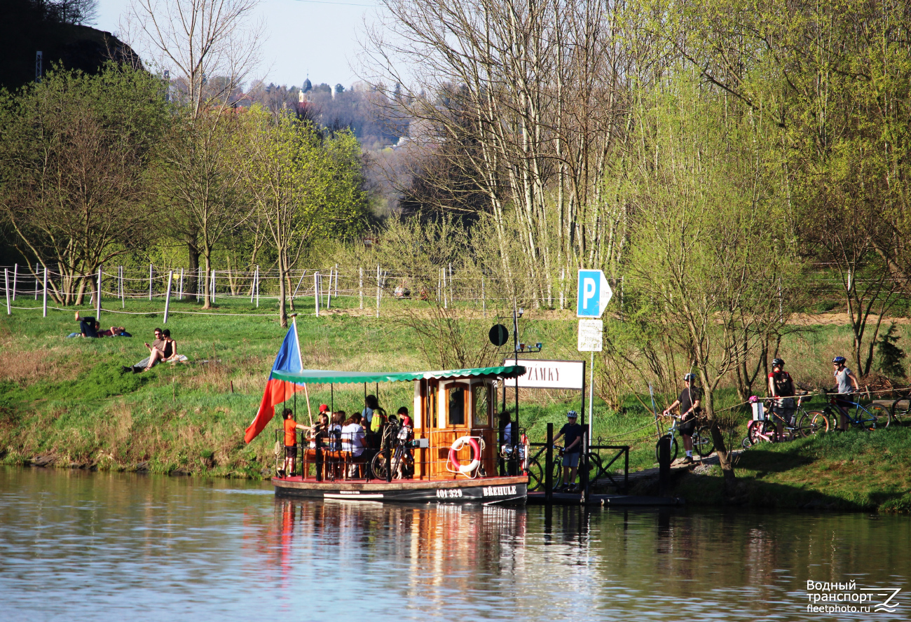 Břehule