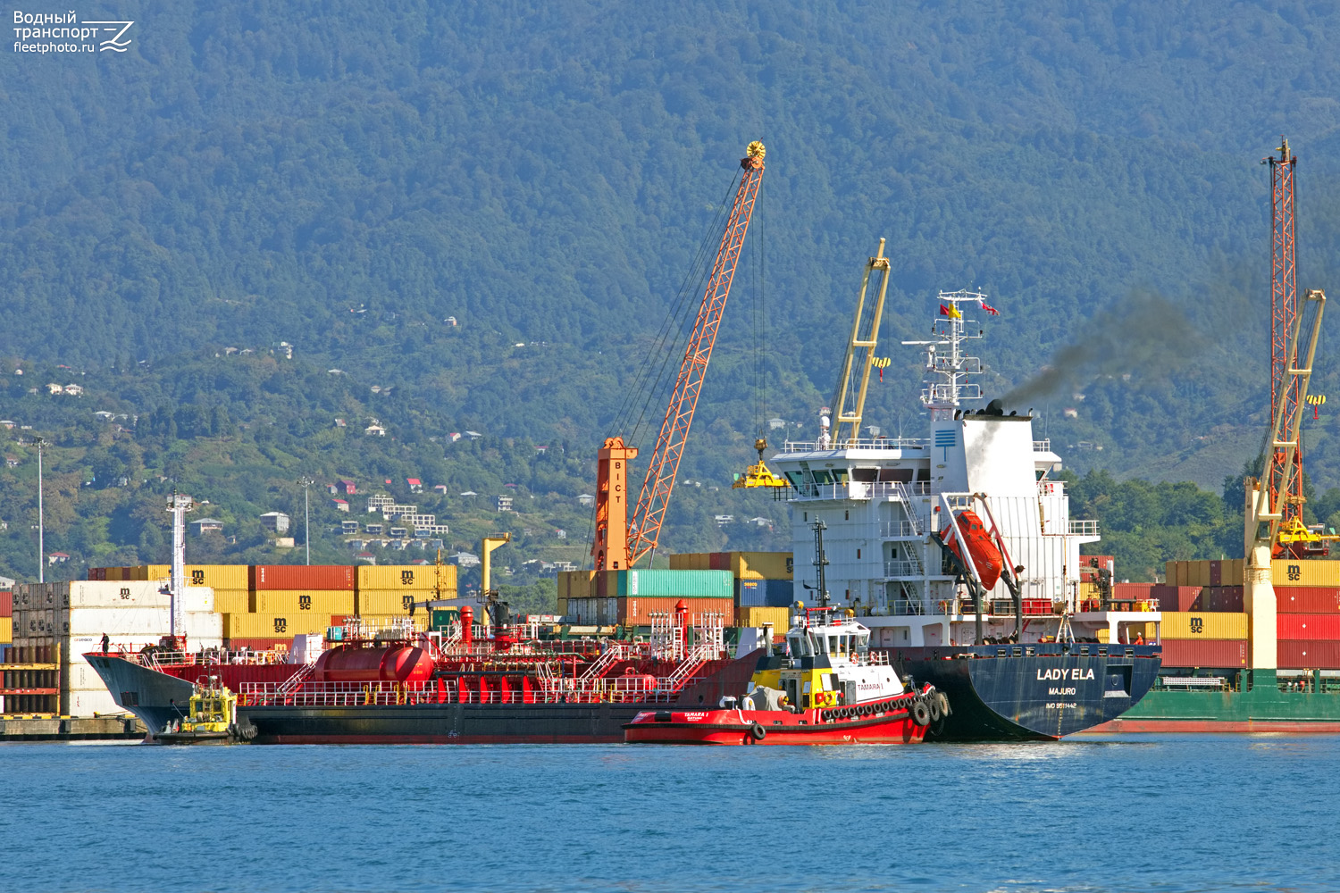 Lady Ela, Captain T. Pagava, Tamara I