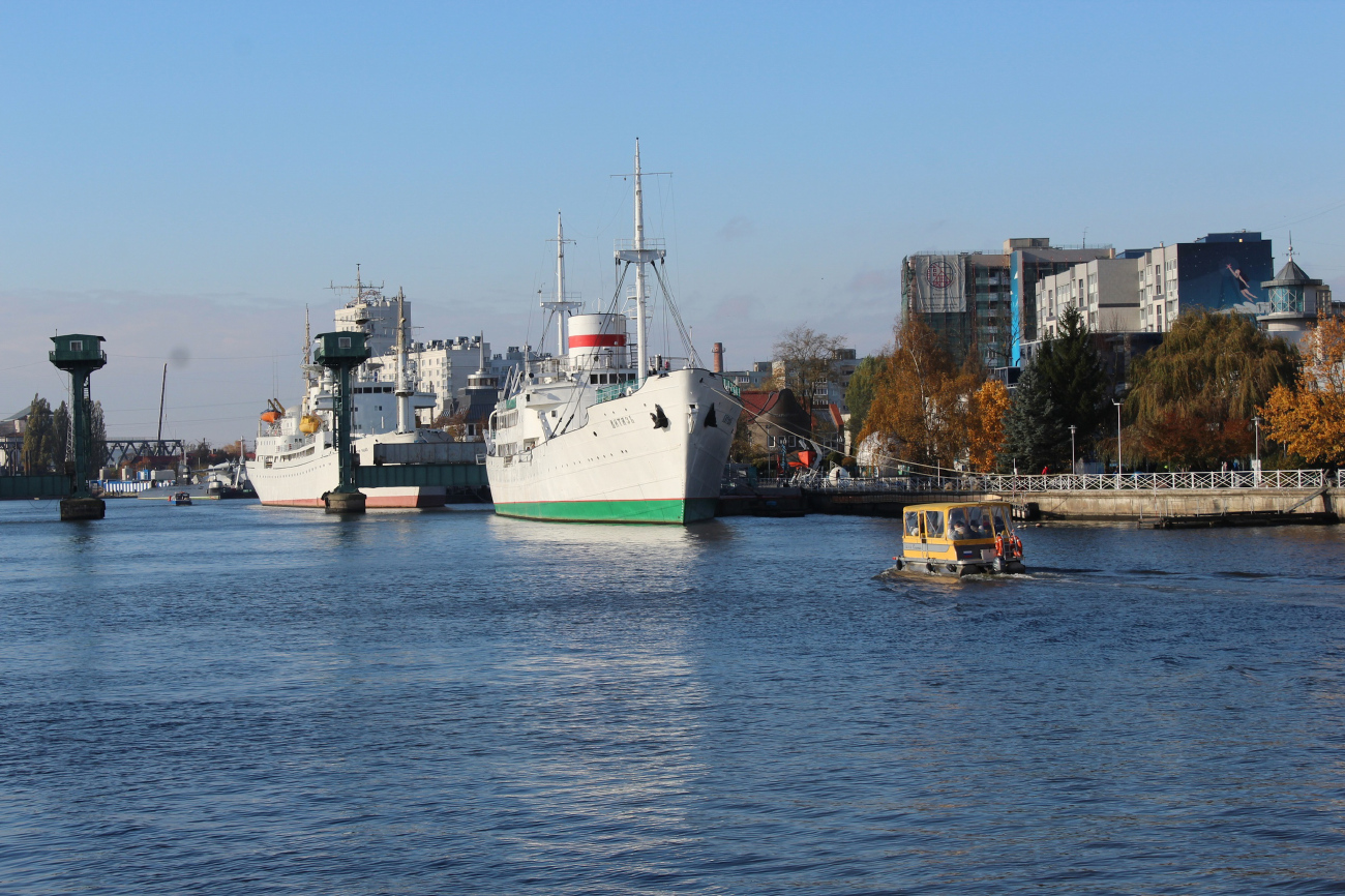 Витязь, Космонавт Виктор Пацаев