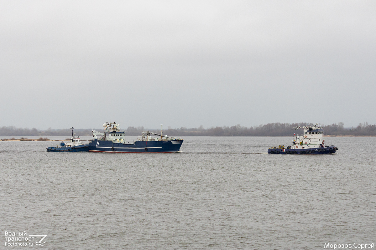 Кембрий, East Ocean, Иртыш