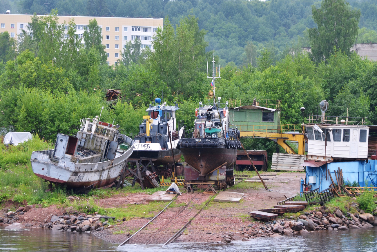 Норка, Рысь