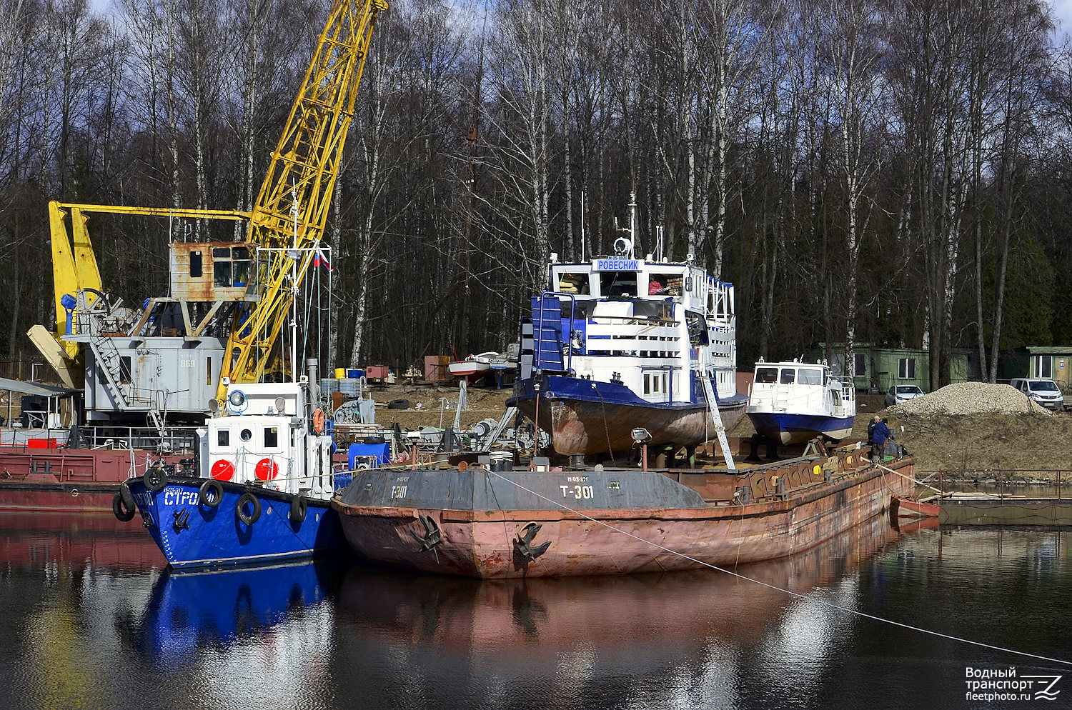 Строгий, Т-301, Ровесник, Добрый